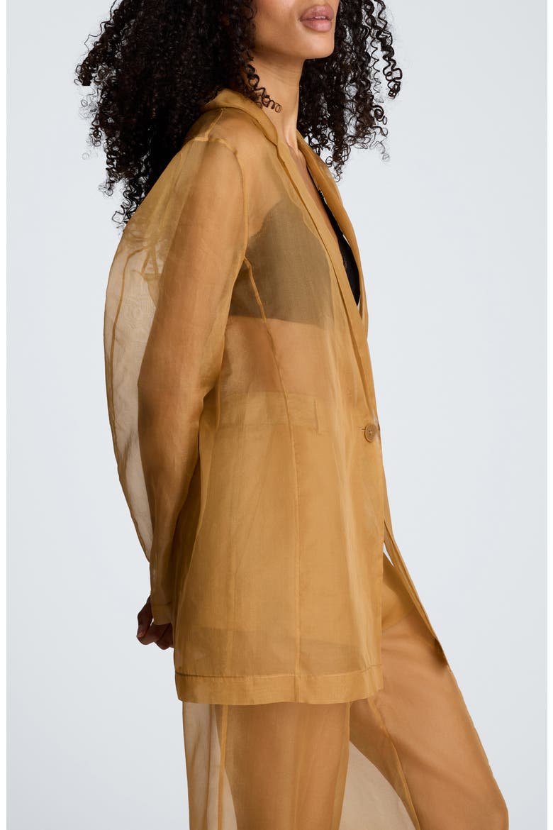 One-Button Sheer Jacket, Alternate, color, MESQUITE