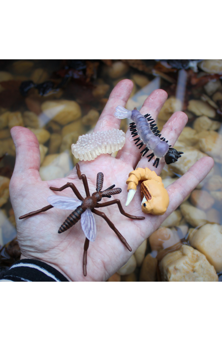 Safari Ltd. Life Cycle Of A Mosquito, Alternate, color, NO COLOR