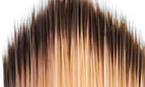 Trish Mcevoy Brush 100