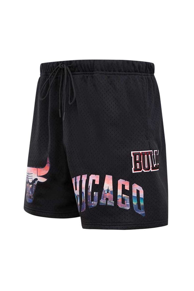 Men's Pro Standard Black Chicago Bulls City Scape Mesh Shorts, Alternate, color, Black