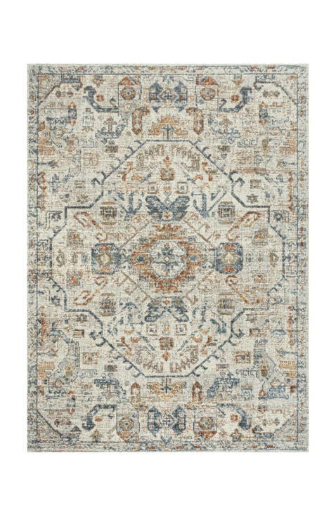 Shaemus Bohemian Medallion Low-Pile Machine-Washable Area Rug