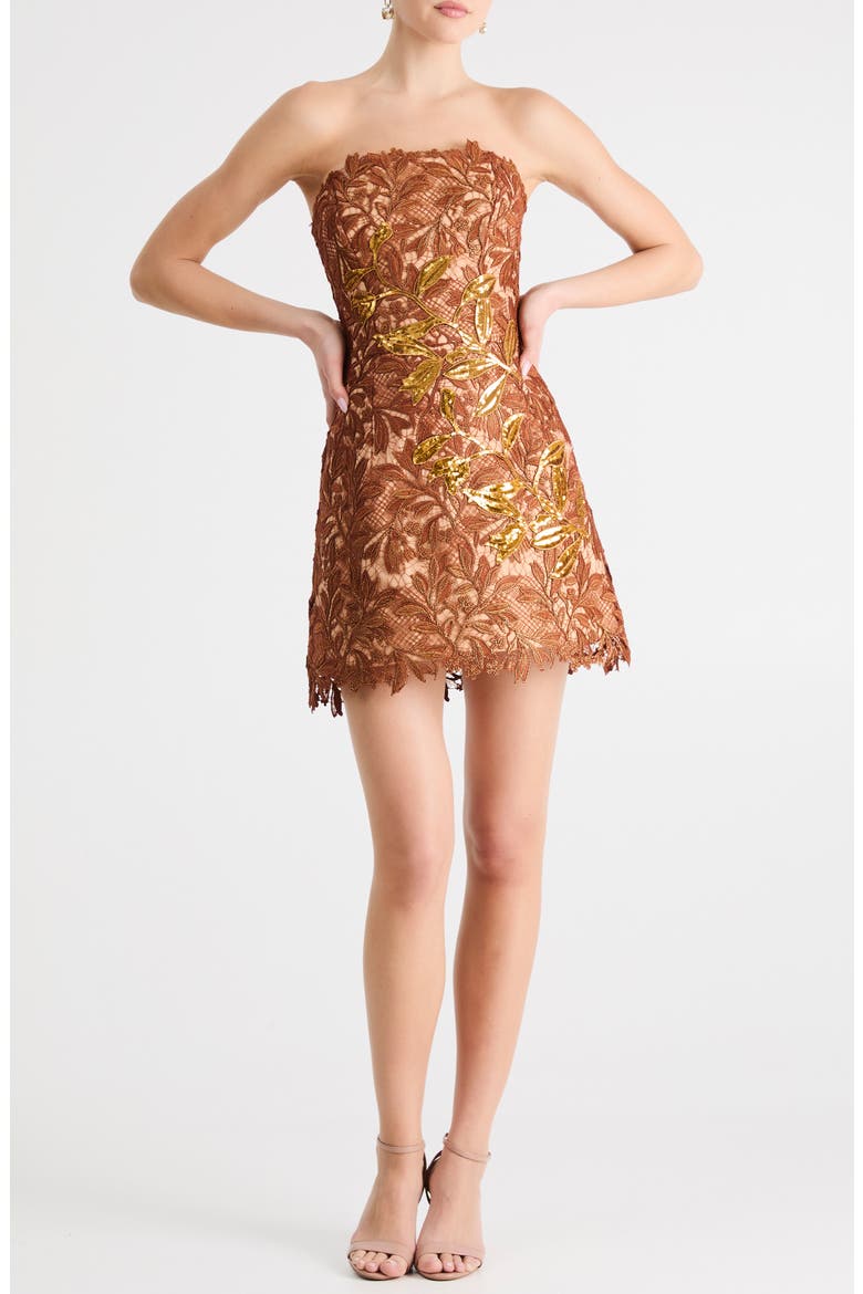 Cleo Embroidered Strapless Minidress, Main, color, COPPER