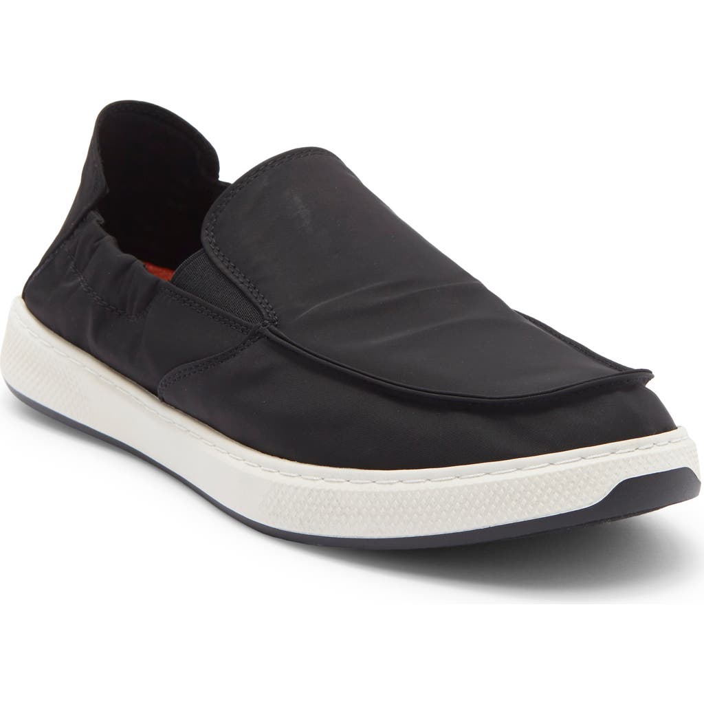 Steve Madden Nellis Sneaker In Black