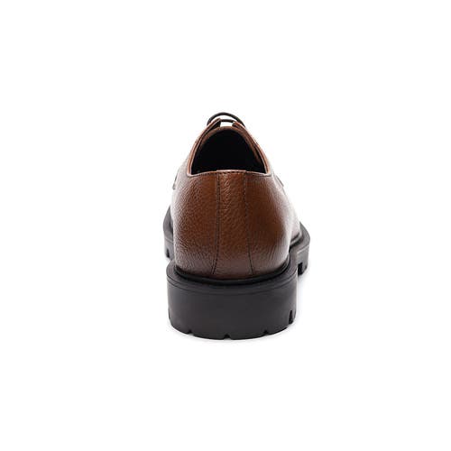 A. Veer Morgan Lace-up In Tan