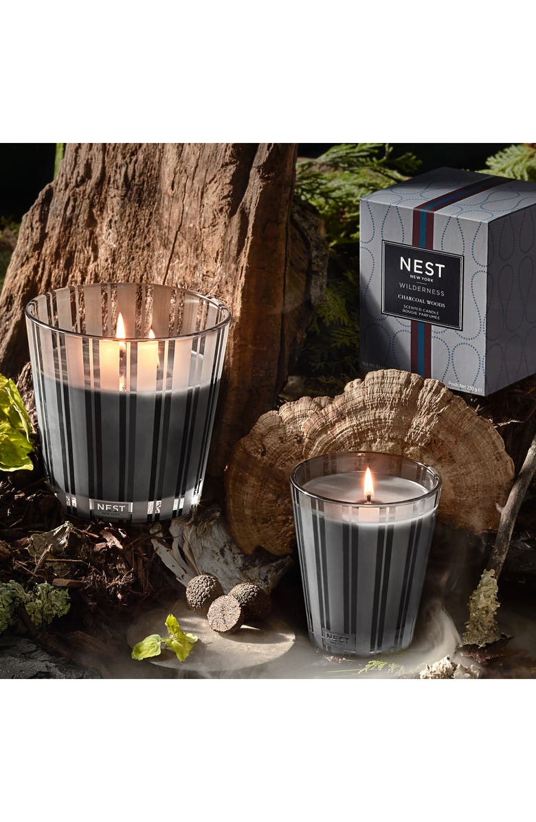 NEST New York Charcoal Woods Scented Candle, Alternate, color, 