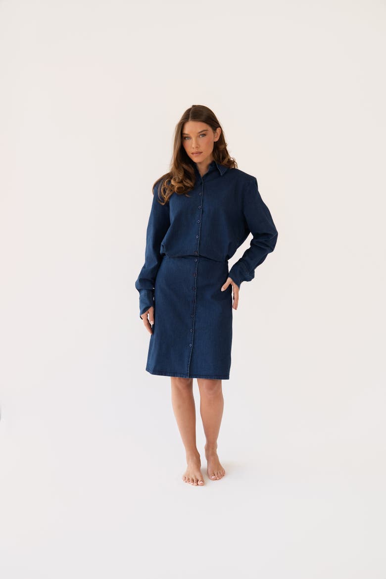 Shani Dress, Alternate, color, Denim