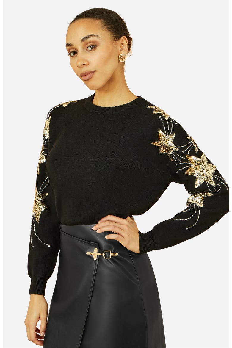 Sequin Star Sleeves Jumper, Alternate, color, Black