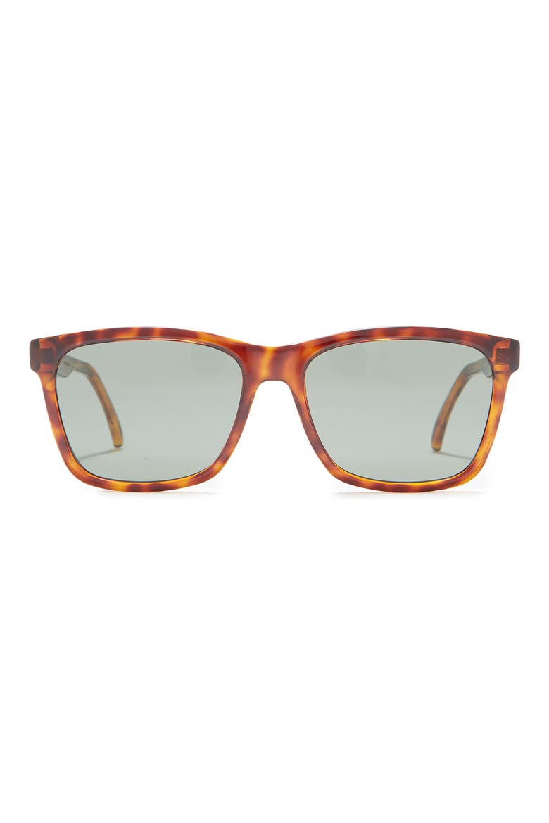 56mm Square Sunglasses, Main, color, HAVANA HAVANA GREEN/GRN