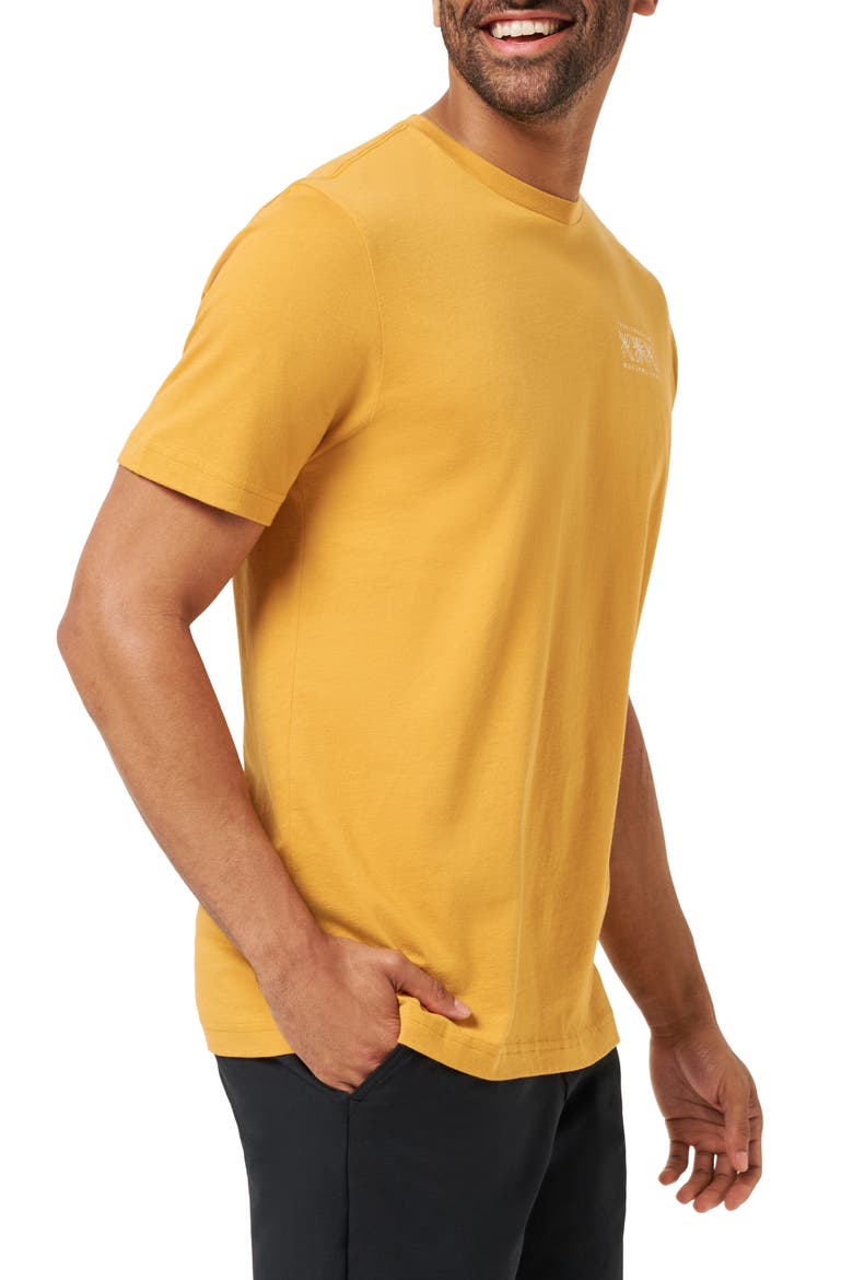 Crosscheck Cotton Graphic T-Shirt, Alternate, color, SPRUCE YELLOW