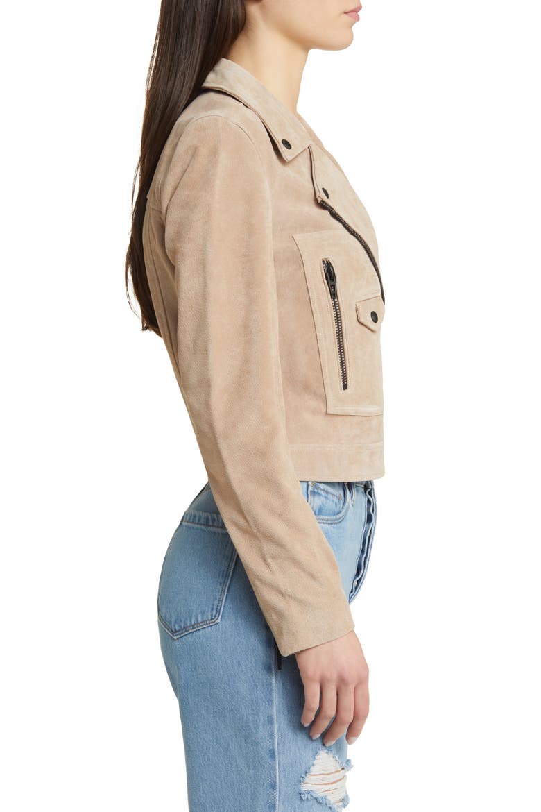 Suede Moto Jacket, Alternate, color, COLD FOAM