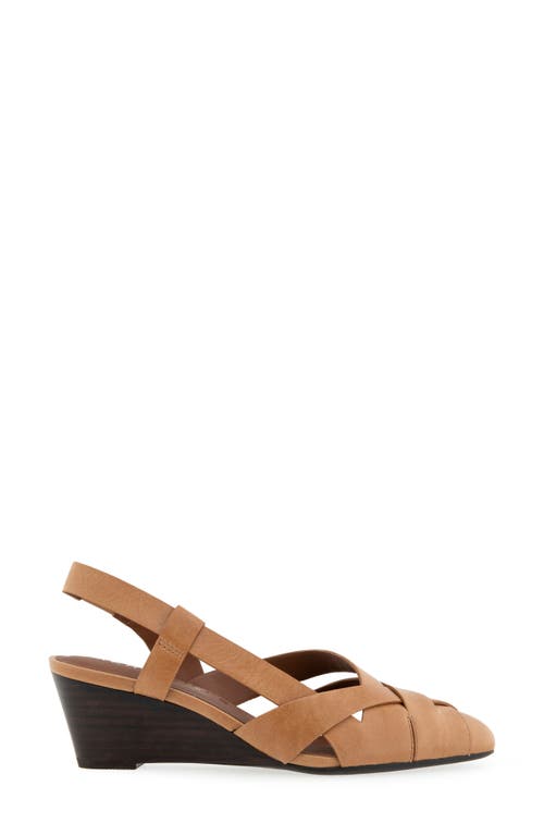 AEROSOLES AEROSOLES CARMEL SLINGBACK PUMP