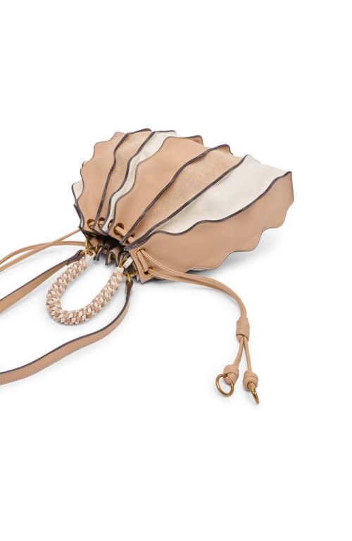 Dolce Vita Antoniaa Bucket Bag Bag In Brown