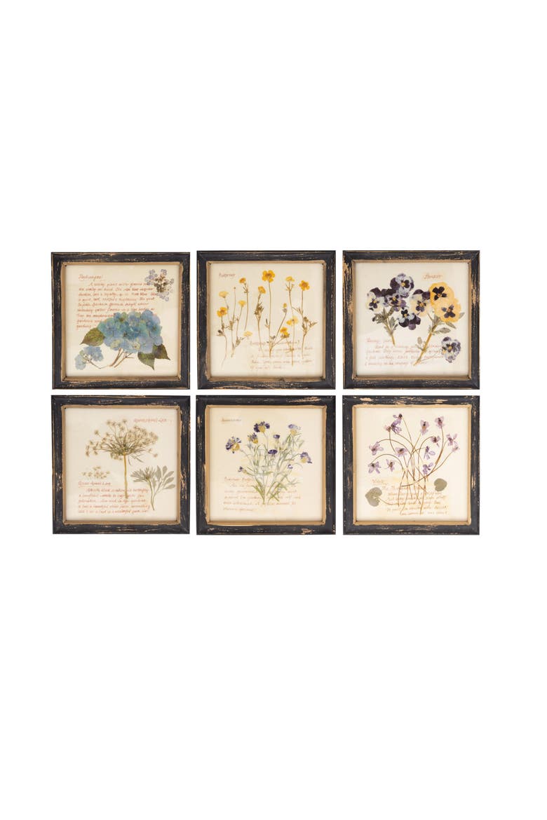 Framed Wall Décor with Floral Images and Information, Main, color, Cream