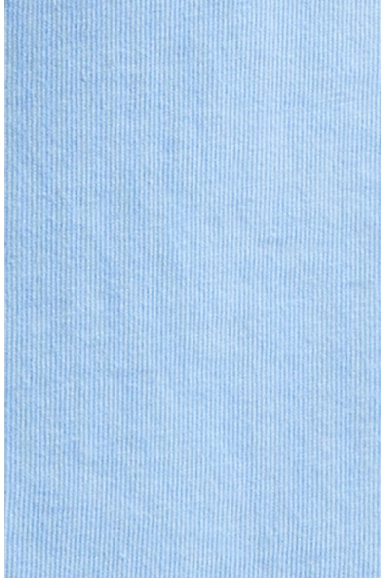 Among the Flowers Embroidered T-Shirt, Alternate, color, PALE BLUE