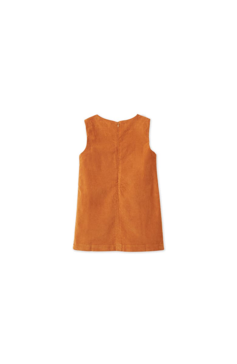 Vild House of Little Organic Cotton Velvet Dress, Alternate, color, Raw Sienna