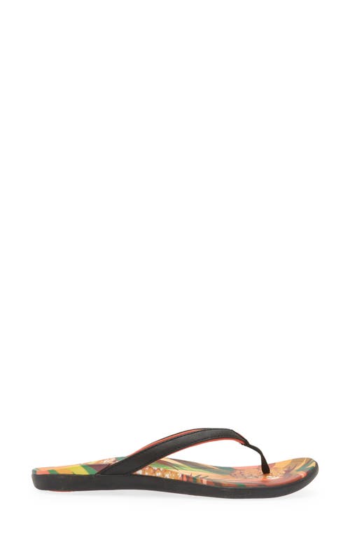 Olukai Ho'opio Hau Flip Flop In Multi