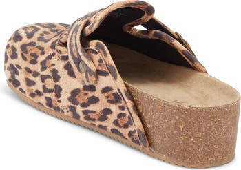 Qwest Clog