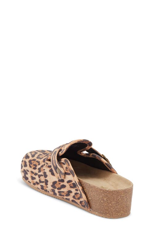 Mia Qwest Clog In Animal Print