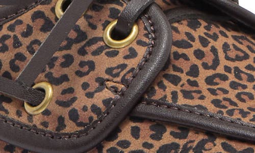 Jeffrey Campbell Boast Boat Shoe In Tan Black Cheetah Suede
