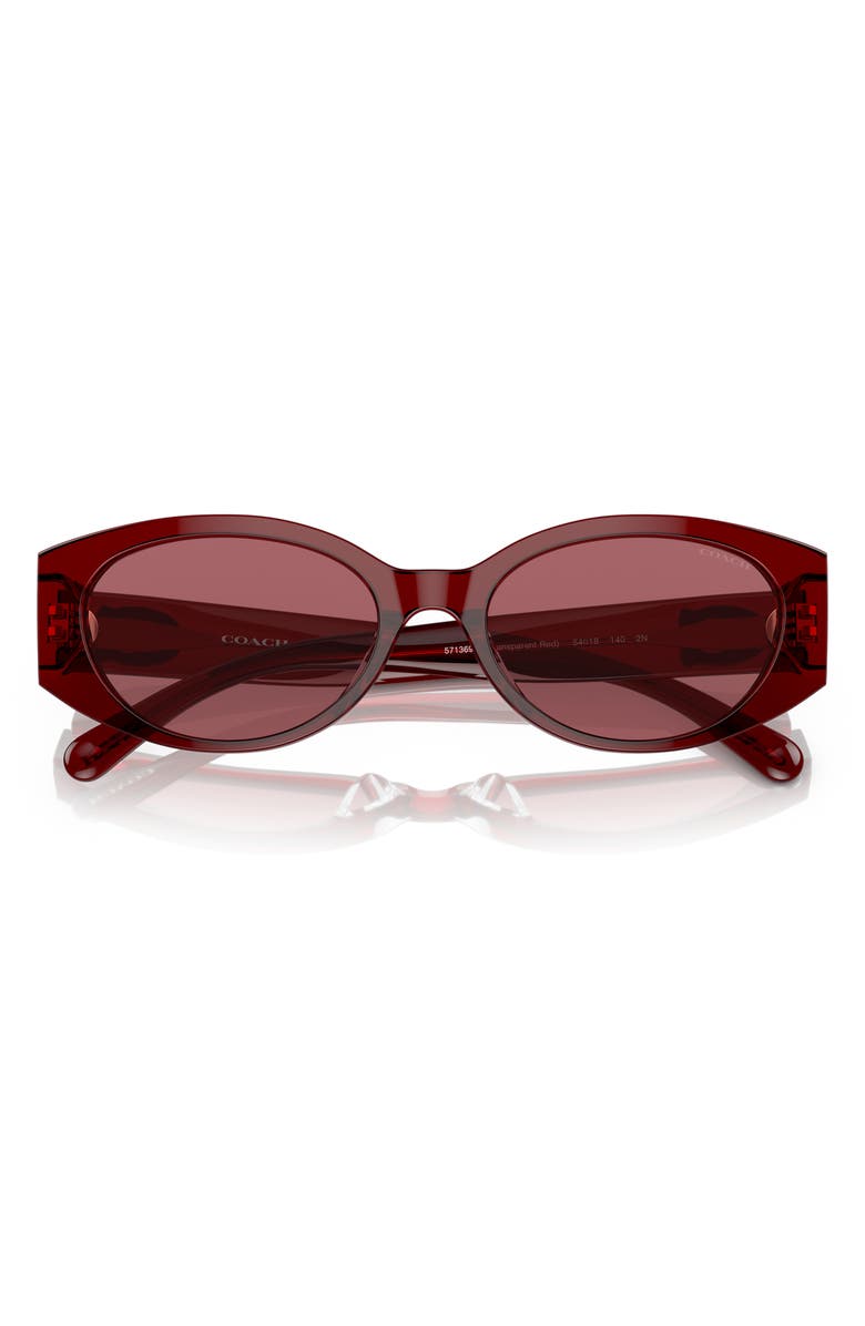 COACH 57mm Oval Sunglasses, Alternate, color,
