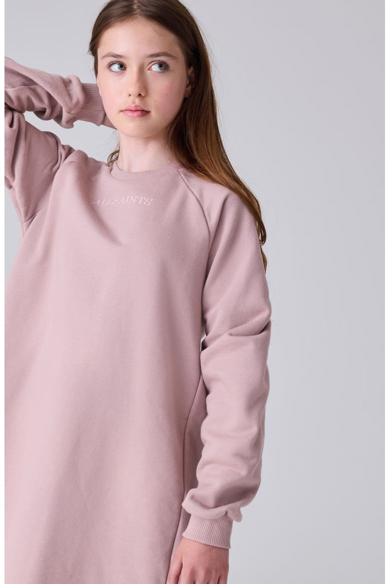 Kids' Lee Lace Trim Long Sleeve Sweatshirt Dress, Alternate, color, PINK