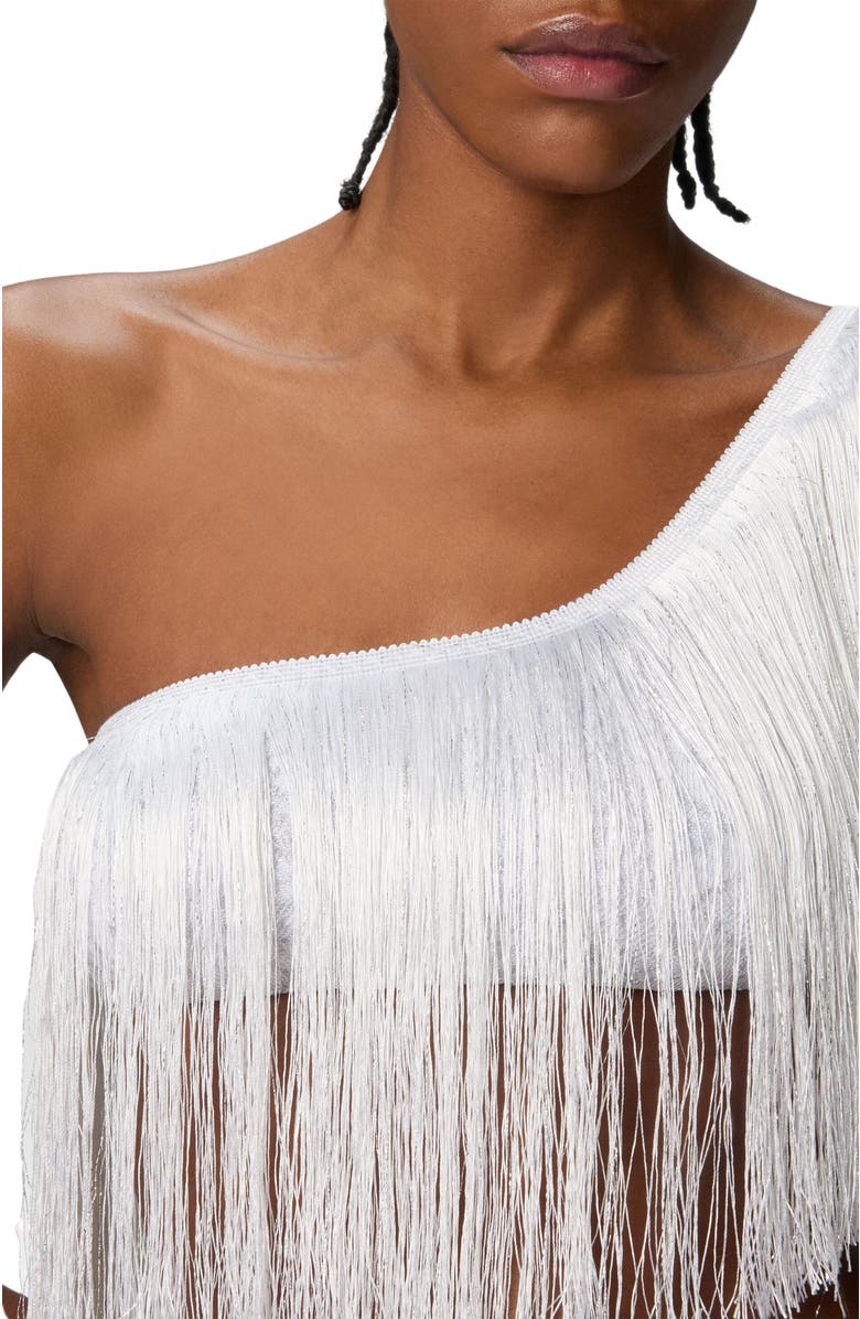 Missoni One-shoulder Zigzag Lamé Viscose Bikini With Fringes, Alternate, color, Silver