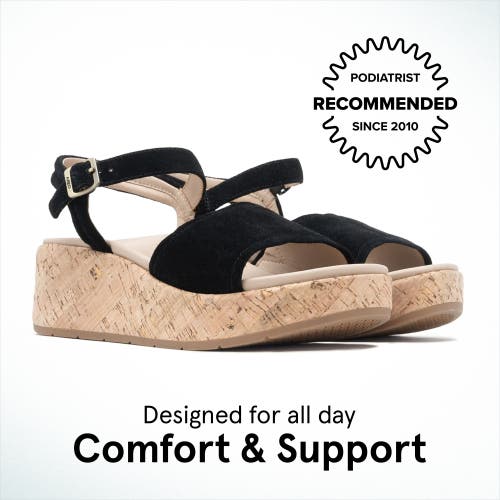 Abeo Solstice Buckle Sandal In Black Suede - Regular
