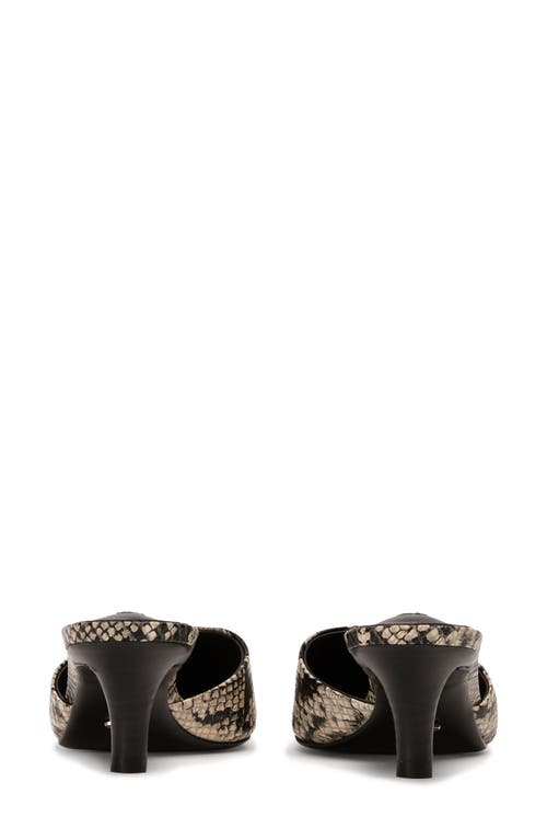 Tony Bianco Zubi Ecru Snake In Ecru Snake