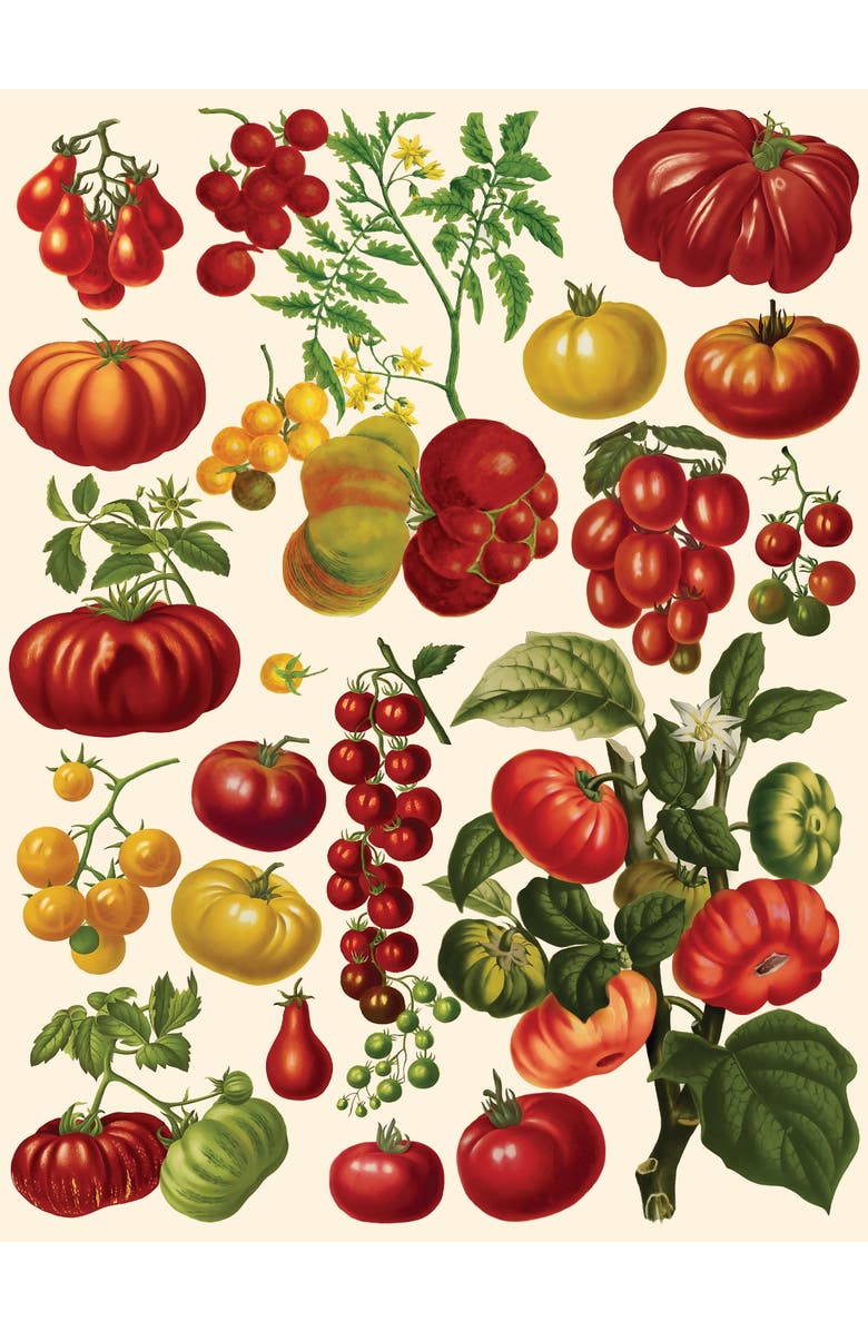 NEW YORK PUZZLE COMPANY Tomatoes 500 Piece Puzzle, Alternate, color, NO COLOR