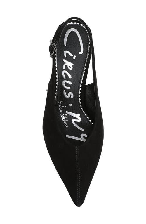 Circus Ny By Sam Edelman Fawn Pointed Toe Slingback Pump In Black