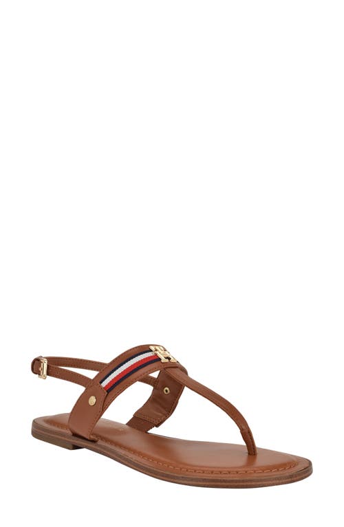 Tommy Hilfiger Gabry T-strap Sandal In Medium Brown