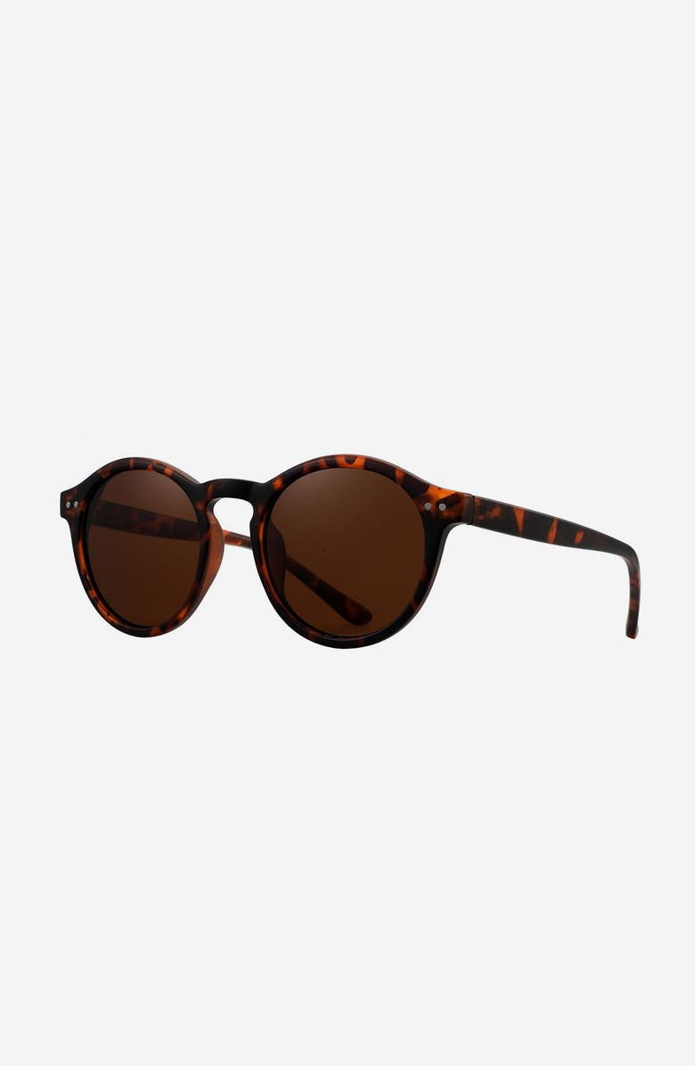 Reality Eyewear Hudson Sunglasses, Alternate, color, Matte Turtle