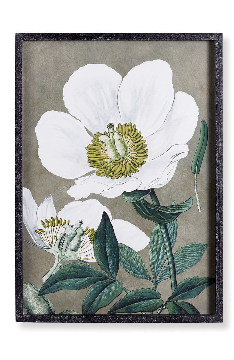 Napa Home & Garden 19.75" x 27.5" Stunning Poppy Floral Flower Art Prints in Fir Wood Frame w/ Glass Pane Set of 2, Alternate, color, Grey