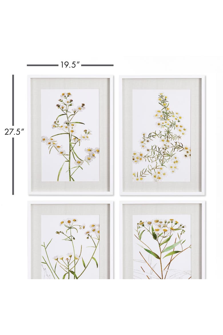 Daisy Prints Set of 4, Alternate, color, Yellow