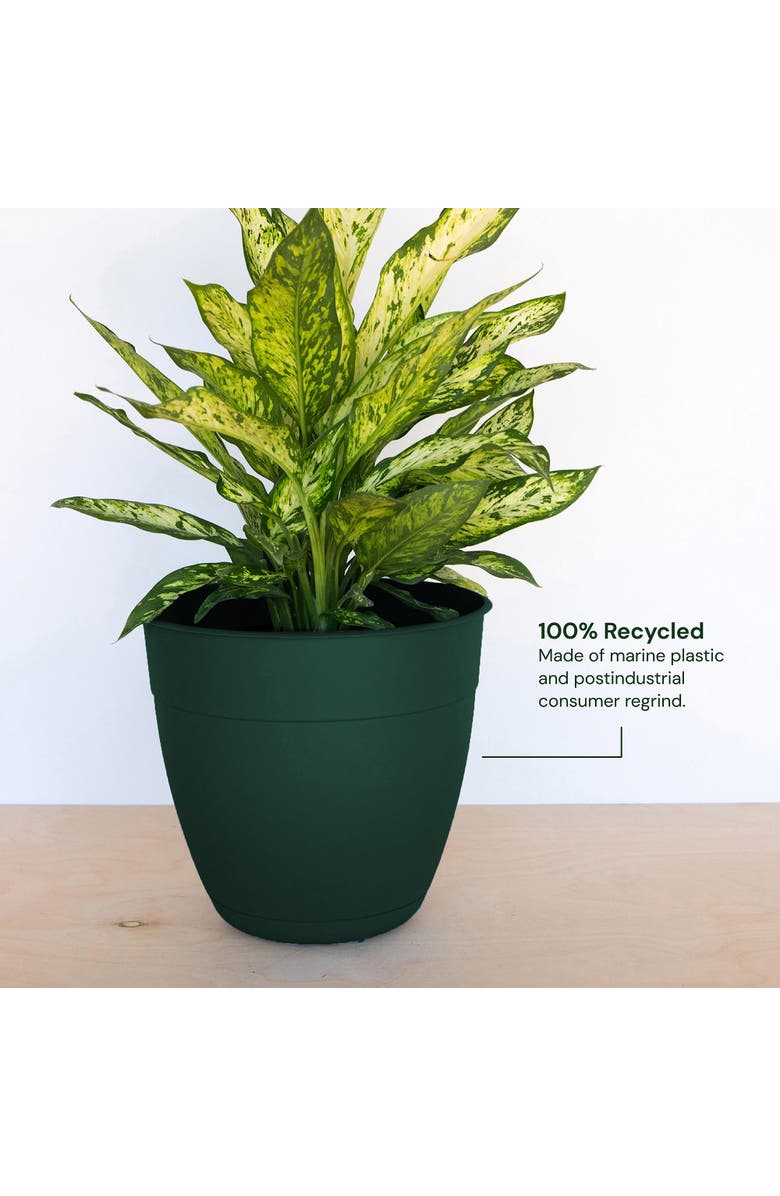 Bloem 12" Dayton Planter With Saucer Tray, Turtle Green, Alternate, color, Green