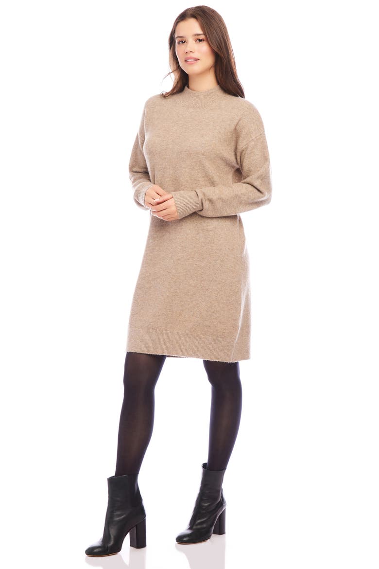 Long Sleeve Sweater Dress, Alternate, color, EARTH
