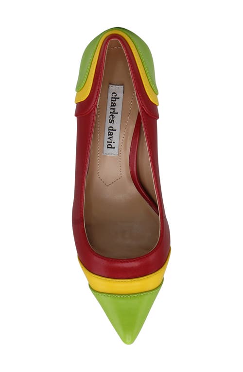 Charles David Aleesha Pointed Toe Pump In Red/yellow/green