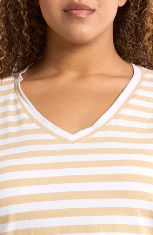 CASLON CASLON® STRIPE V-NECK COTTON T-SHIRT