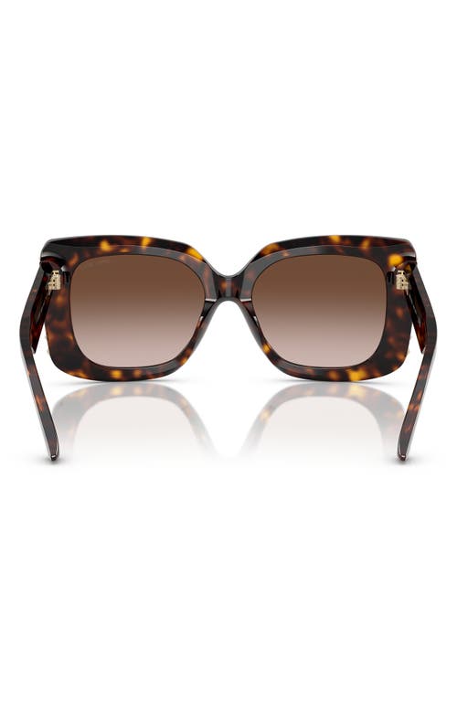 Jimmy Choo 54mm Butterfly Sunglasses In Havana