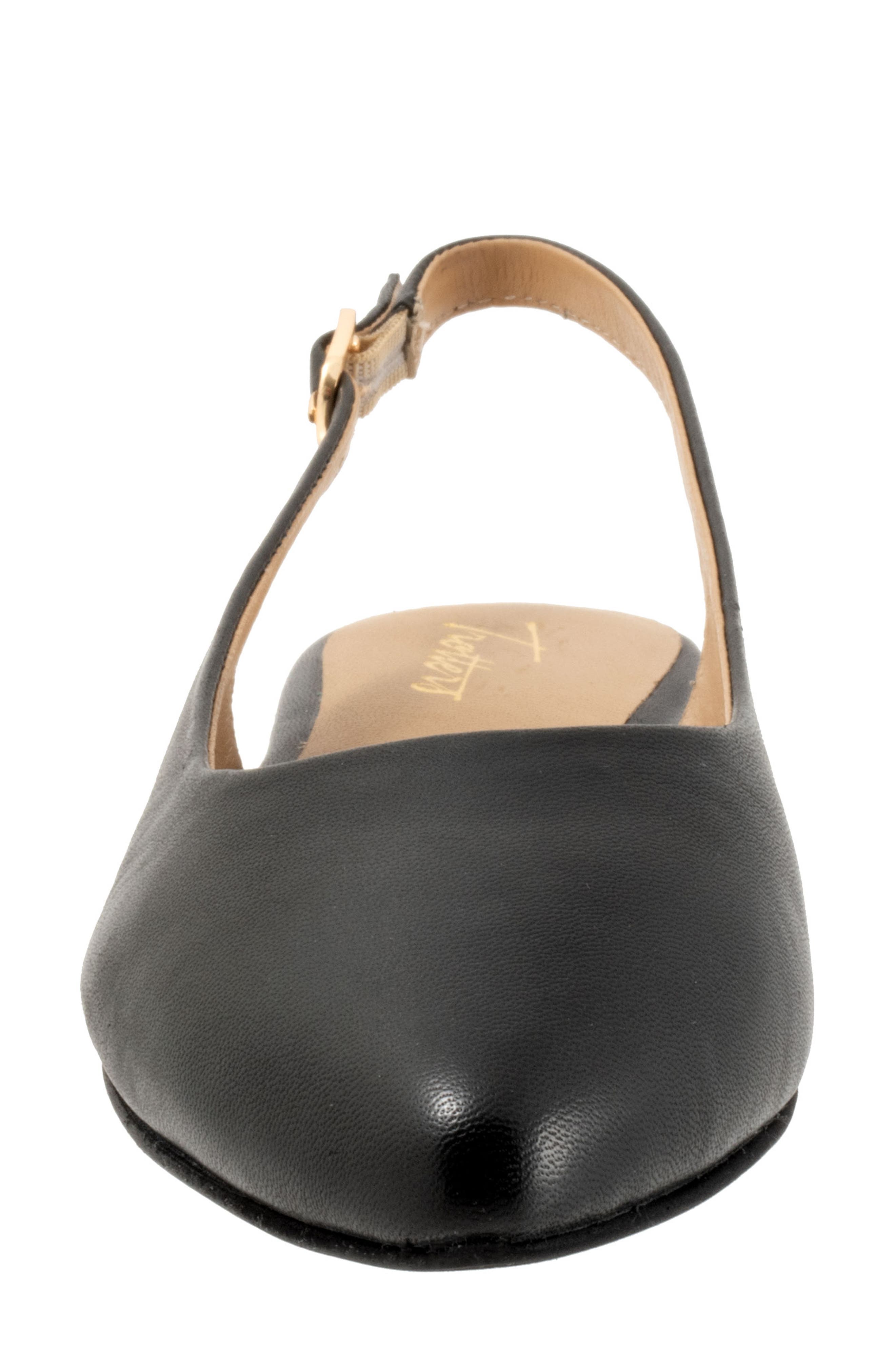 Trotters Evelyn Pointed Toe Slingback Flat - Multiple Widths Available, Alternate, color, Black