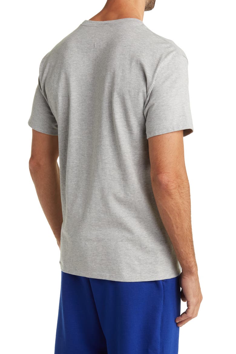 Classic Cotton Graphic T-Shirt, Alternate, color, OXFORD GRAY