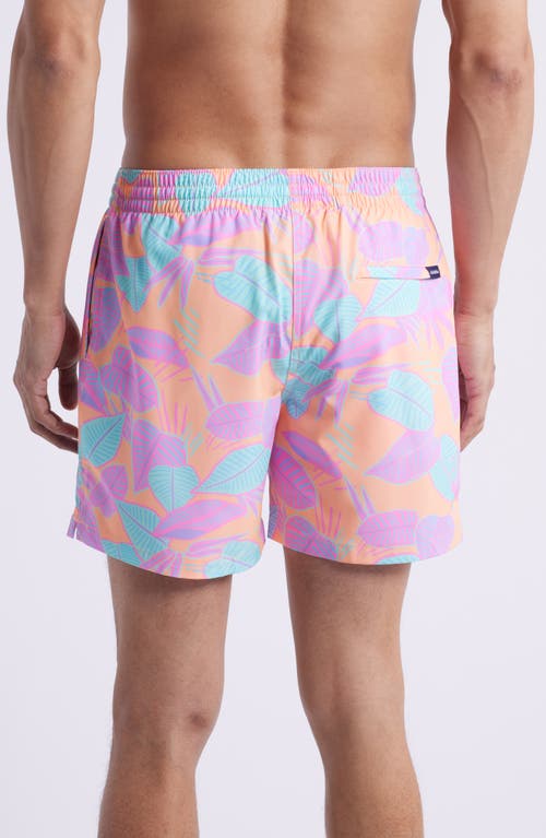 Chubbies The Posh Palms 5.5-inch Swim Trunks