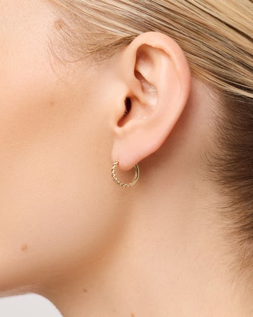 Ana Luisa Solid Yellow Gold In Gold