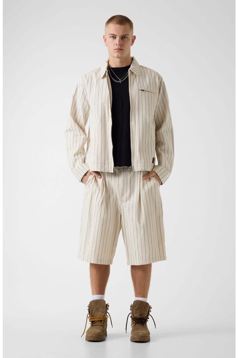 Pleated Stripe Baggy Shorts, Alternate, color, NATURAL