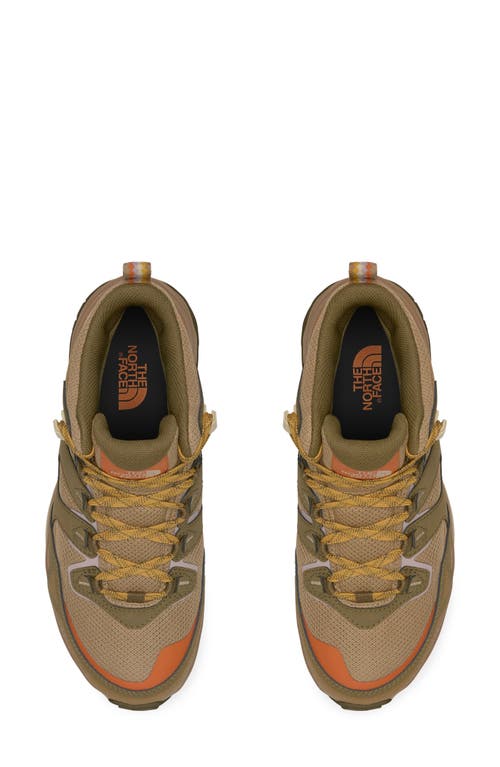 The North Face Hedgehog 3 Waterproof Hiking Sneaker