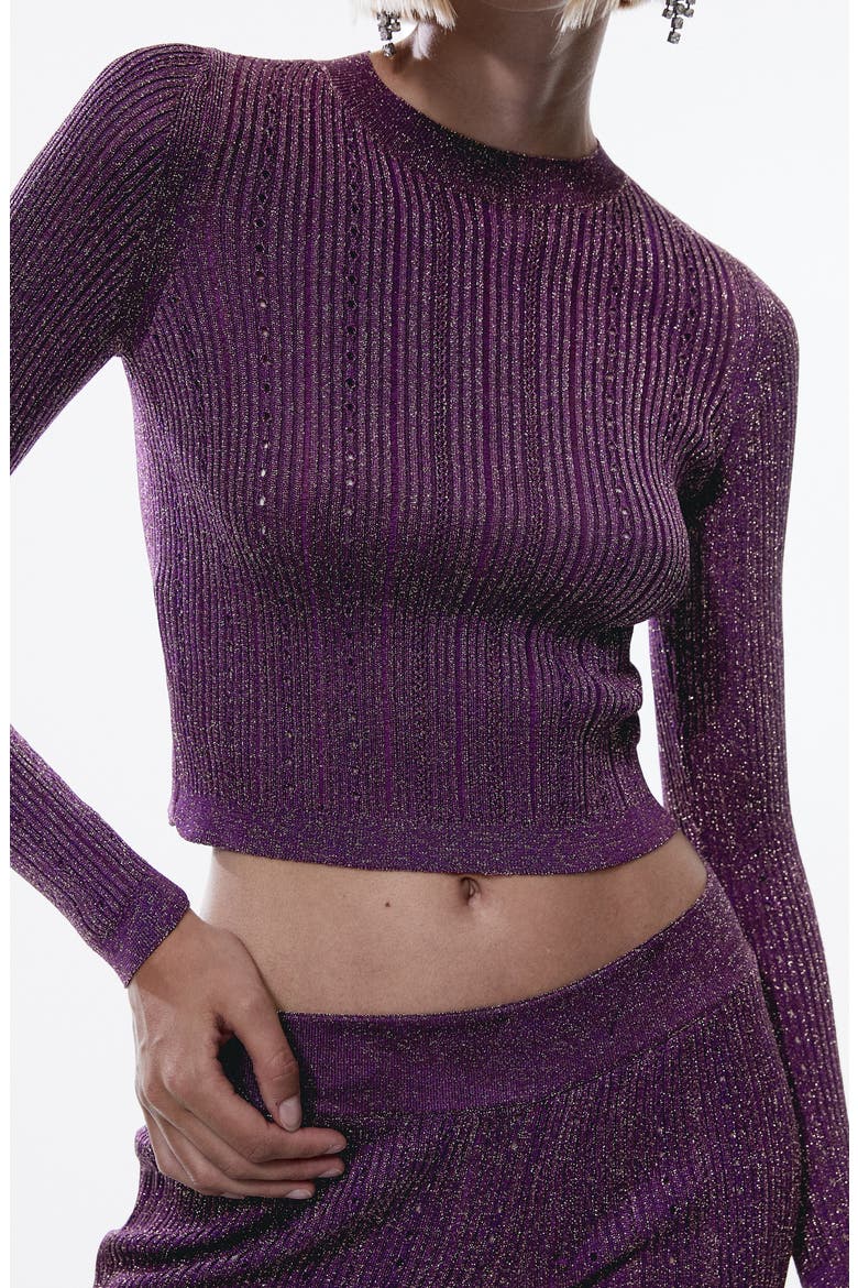 Metallic Crop Sweater, Alternate, color, PURPLE