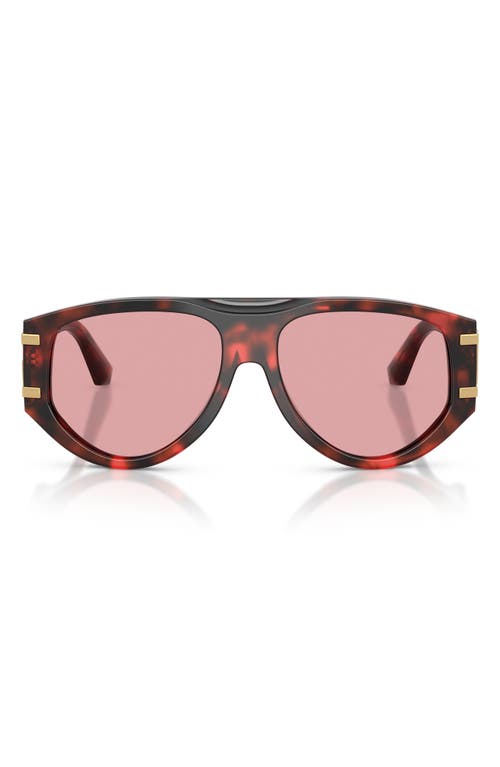 Dolce & Gabbana Dg Griffe Sunglasses In Pink