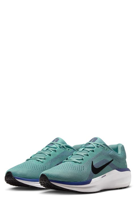 Air Winflo 11 Running Shoe (Men)