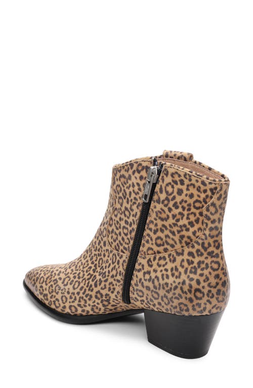 Ash Fame Bootie In Brown