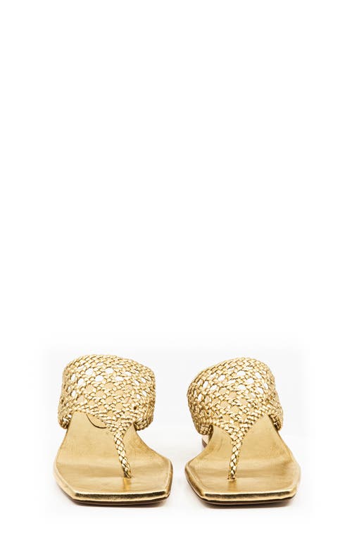 ANDREA GOMEZ ANDREA  GOMEZ BRENDA SANDAL